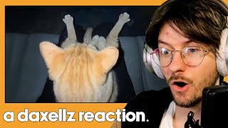 Daxellz Reacts to UNUSUAL MEMES V232