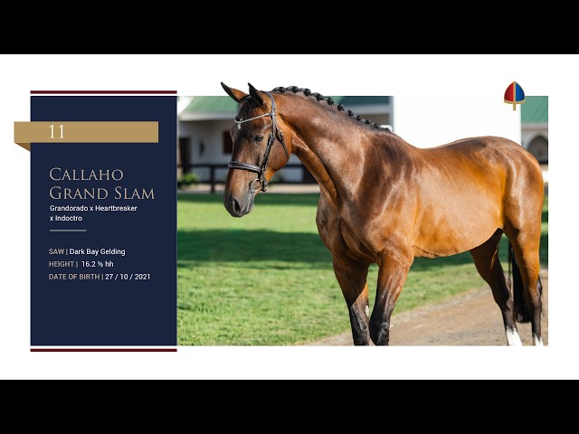 Callaho Grand Slam