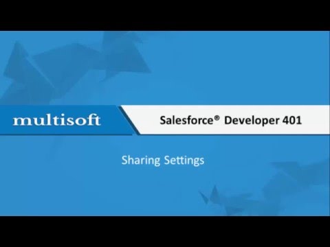 Salesforce Developer Sharing Settings Training  