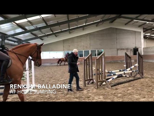 Renkum Baladine jumping