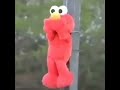 The Real Tickle Me Elmo