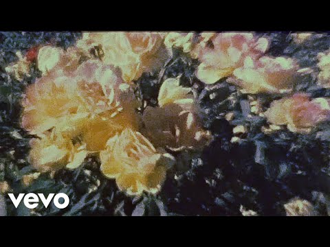 Unknown Mortal Orchestra – Earth 2 (Official Video)