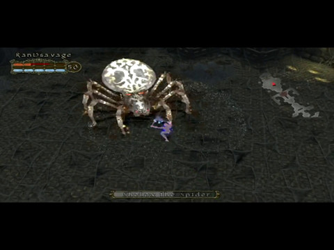 Ranger Boss Farming #2 Shelox the Spider - Champions of Norrath