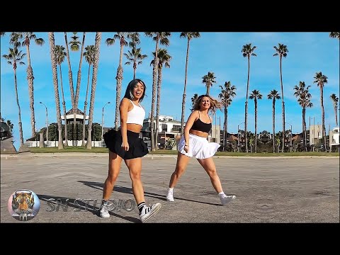 ♫ The Woodchuck Song - Evgenn Priznyakov Remix (SN Studio Edit) ♫ Shuffle Dance Video