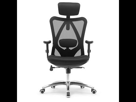Best Budget Office Chairs