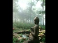 Jorge Alfano's "Under the Buddha Tree"