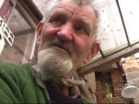 Bugaszegi szösszenetek - A Janibácsi elmeséli a fejadagot