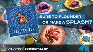 Shallow Sea – Shallow Waters, Yet Deeply Immersive