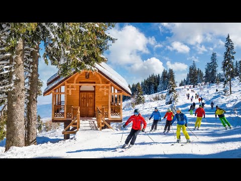 Sofia's Mountain Escape: Vitosha Ski & Aleko Hut Walking Tour | 4K HDR