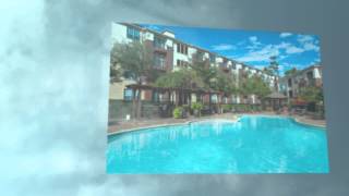 preview picture of video 'Piney Point Apartments near Houston Galleria District'