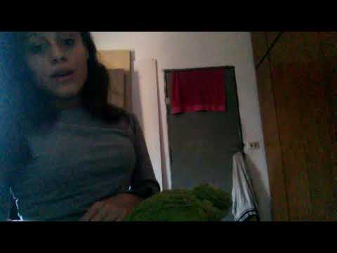 A rosa e o beija flor