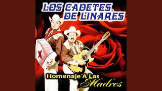 Despedida Con Mariachi