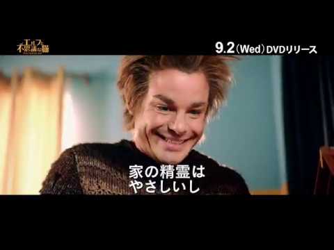 「エルフと不思議な猫」DVD　9/2発売