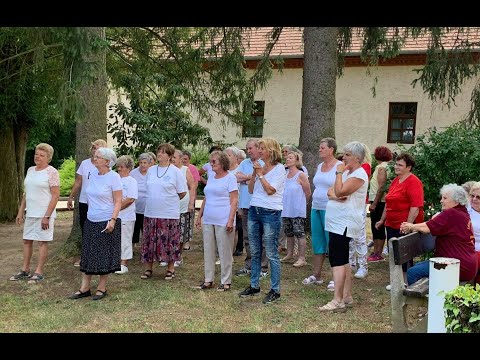 Jerusalema kihívás Somogyiak Baráti Köre