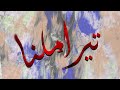 Raahim JANI Tera Milna Prod Uzair Mirza Official Audio