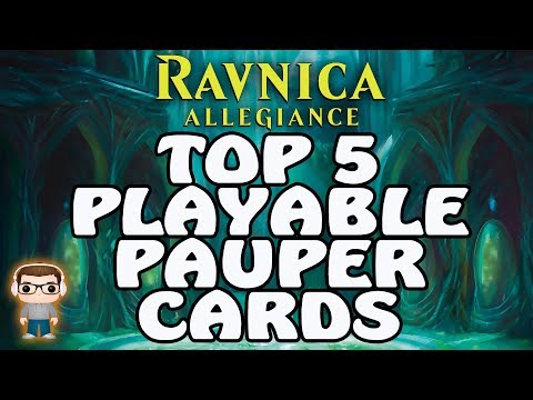 RAVNICA ALLEGIANCE TOP 5 PLAYABLE PAUPER CARDS