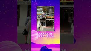 行きつけの映画館を紹介して｜共感族の反応集 #シネマスコーレ #シネマハウス #ロイヤル劇場 #パルシネマ #共感シアター #反応集