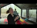 Sportscholen voeren actie om versoepeling regels