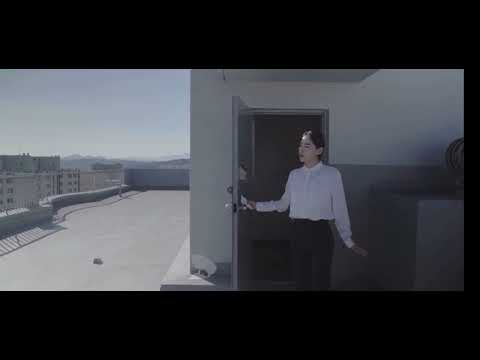 비디오 5