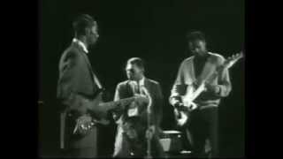 Little Walter - Hound Dog Taylor - Odie Payne ( Walter's  Blues Live )