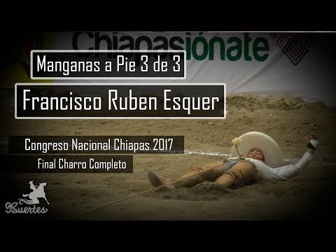 Manganese 3 pie 3 - Francisco Ruben Esquer