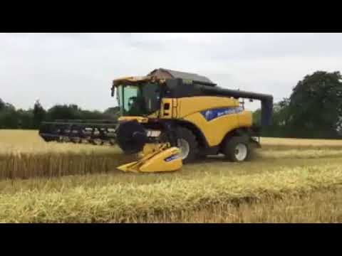 CR 8.80 DEMONSTRATOR HARVEST 2017