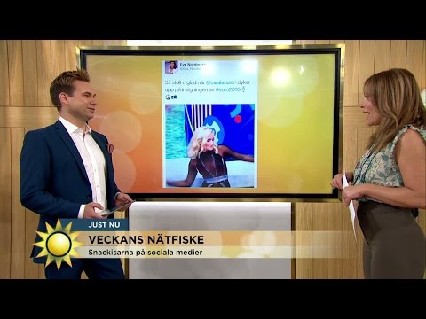 Veckans snackisar på sociala medier  - Nyhetsmorgon (TV4)