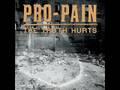 Pro-pain - the truth hurts 