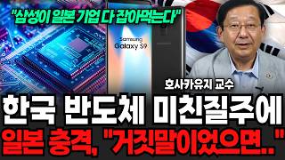"삼성이 일본 기업 다 잡아먹는다" 한국 반도체 미친질주에 일본 패닉 "차라리 거짓말이었으면.." (호사카 …