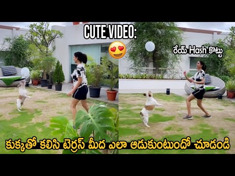 Actress Samantha Playing with her Pet Dog Hash | Samantha Funny Videos | Life Andhra Tv