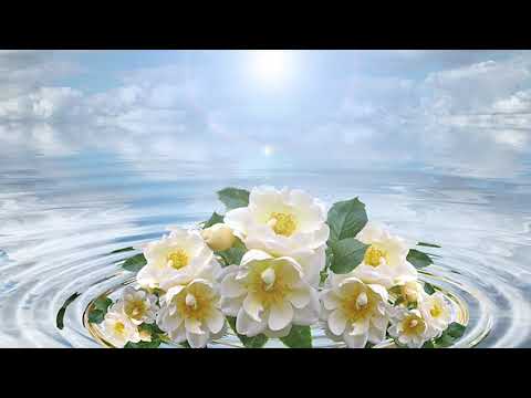 Mariana Somesan - Din noaptea grea doar Tu m-ai izbavit