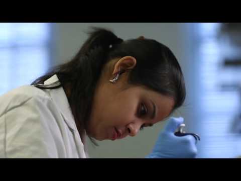 Pharmacogenomics in African-Americans and Other Understudied Populations