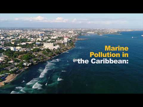 Marine Pollution Threatens the Caribbean Sea