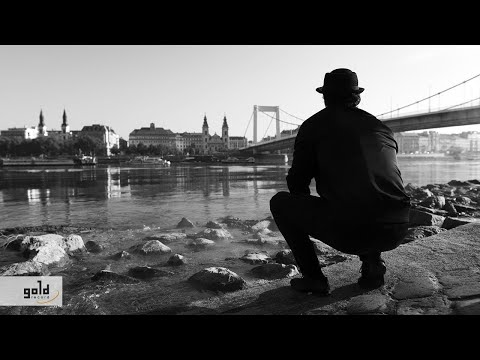 Gold Record Hungary and New Level Empire