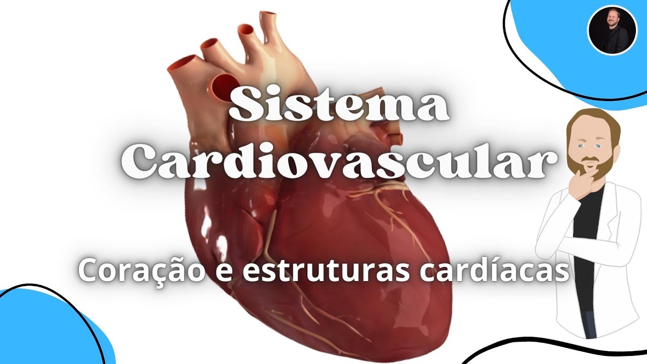 Sistema Cardiovascular - Coração e estruturas cardíacas