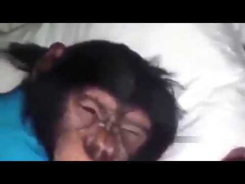 Ержан вставай на работу пора)))