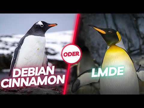 LMDE or Debian with Cinnamon: Which is the better choice? Here's what you should know beforehand!