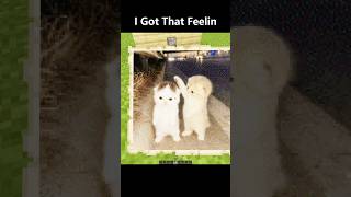 Download lagu I Got That Feelin | Pixel Art Animation in Minecraft mp3