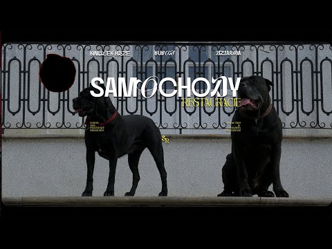 Kwiatek Haze - SAMOCHODY, RESTAURACJE feat. @_Kukon @dziarmaofficial  (Official Video)