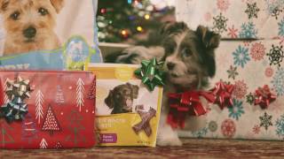 Ingles Supermarkets - All The Ingredients For Family - Season of Giving