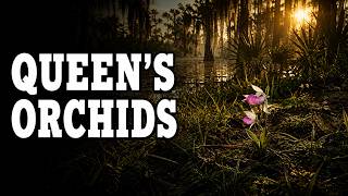Red Dead Redemption 2 – Queen’s Orchids (All Locations) | Exotics Request 5
