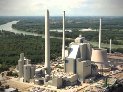 Jaron Freeman-Fox ||  Auctioneering Everything || Official Video