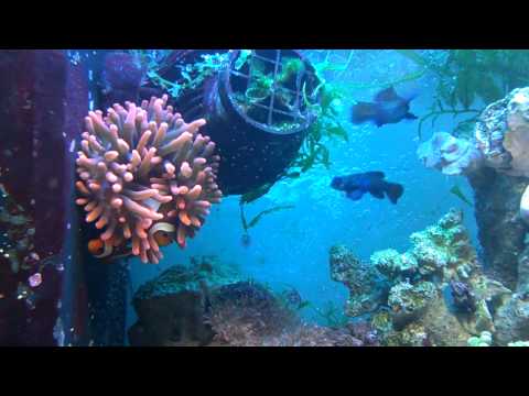 26. Oktober 2011 21:55