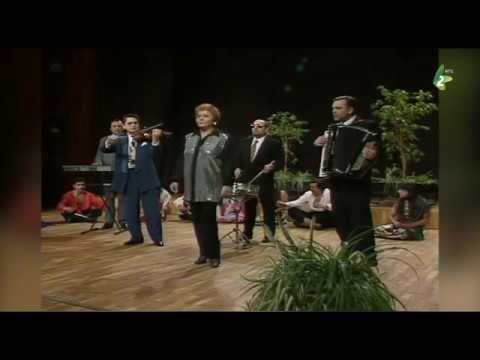 Vida Pavlović - Ostala je pesma moja orkestar BAGREM BELI novi sad