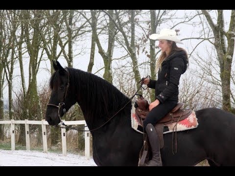 Stal Okkema´s Veerle