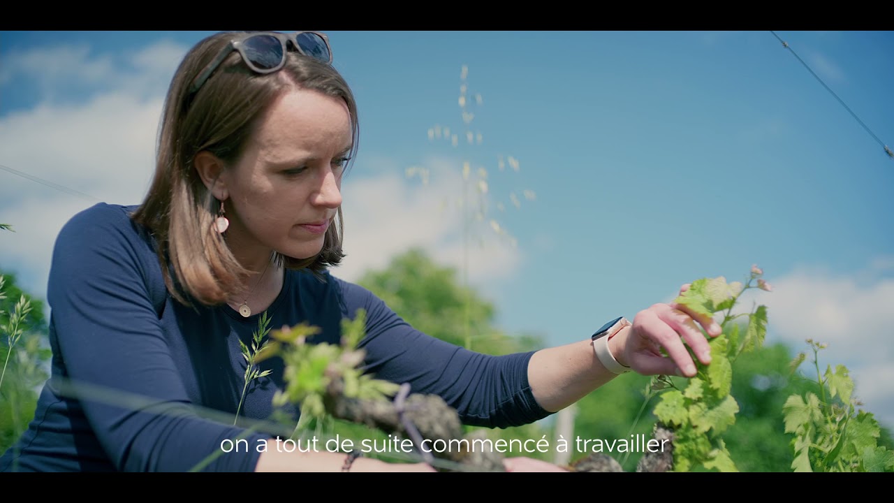Domaine Ponty
