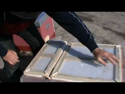 2. Lucrari la stupina si discutie cu Alex din Bucuresti, intalnit la salonul Expo Inventika 2011 2/5