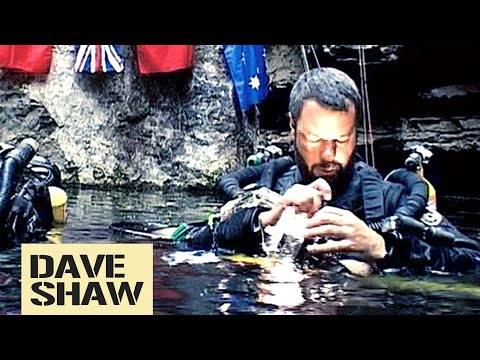 Diver Explains: Dave Shaw Cave Diving Tragedy
