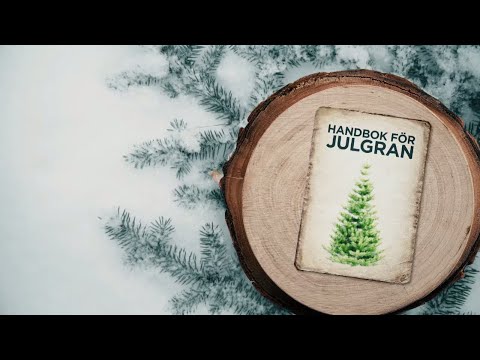 Så får du en barrfri gran i jul - Nyheterna (TV4)