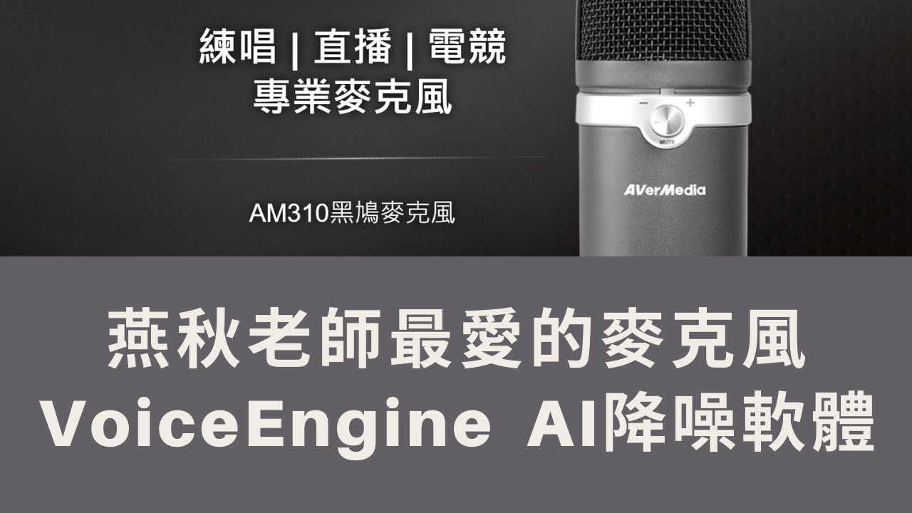 燕秋老師最愛的麥克風-AM310（必裝Voice Engine AI降噪軟體）同場加映-麥克風防噴罩